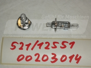 Glühbirne H1 12V 55W H1 12V 55W