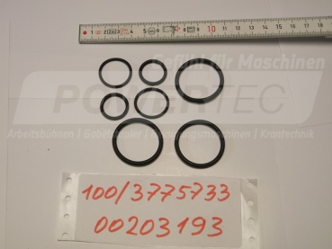 REPARATURSATZ DICHTUNGSATZ HYDR.