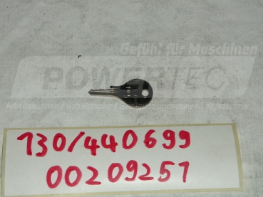 SICHELSCHMIDT  Z333/195 Z 333 195