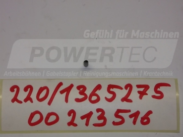 Hyster SICHERSUNGSSTIFT (ROLLENSTIFT)