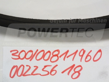 Hako Keilriemen AX/X13x1060 Lw