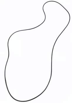 DICHTUNG PERKINS ORIGINAL