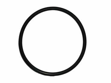 O-Ring JH-ETM/V-(69)