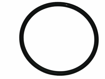 O-Ring JH-ETM/V-(77)