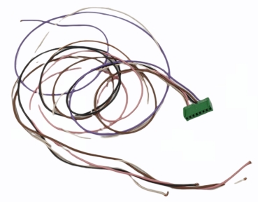 Stecker 8Pol. Eh Ef Etl