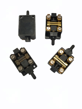 Wagner Mikroschalter