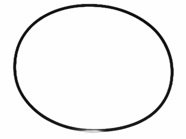 O-Ring
