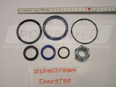 Dichtsatz Neigezylinderf.Fgf.F