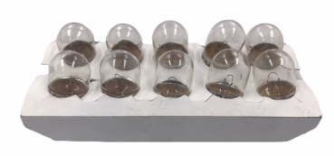 Glühbirne 12V 10W 12V 10W