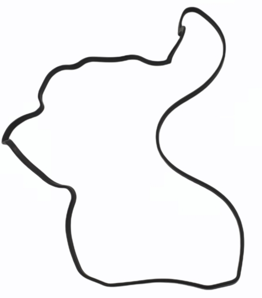 Ventildeckeldichtung