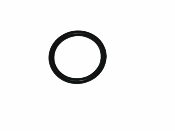 O-Ring JH-EJE-1250-----(Ers.27304470)